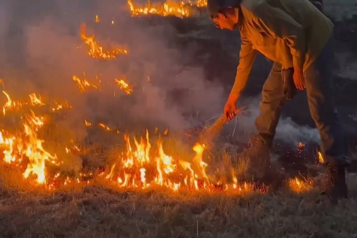 indigenous tribes lighting cultural burn